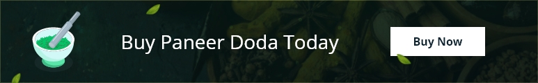 Buy Paneer Doda Online