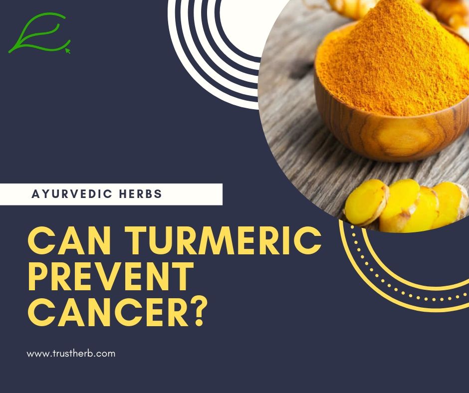 turmeric ayurvedic benefits