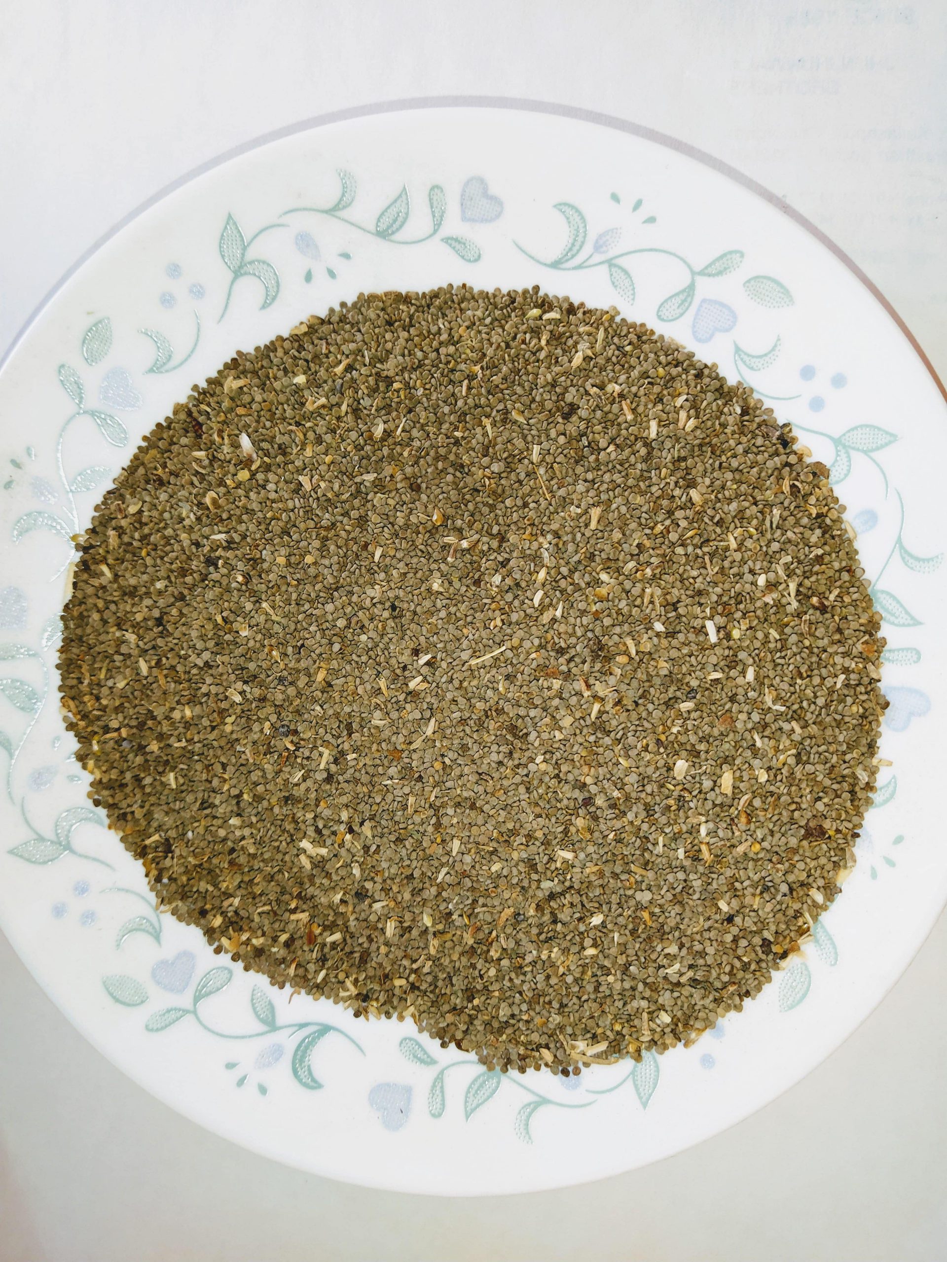 Buy Henbane seeds Online | Ajwain Khurasani | TrustHerb