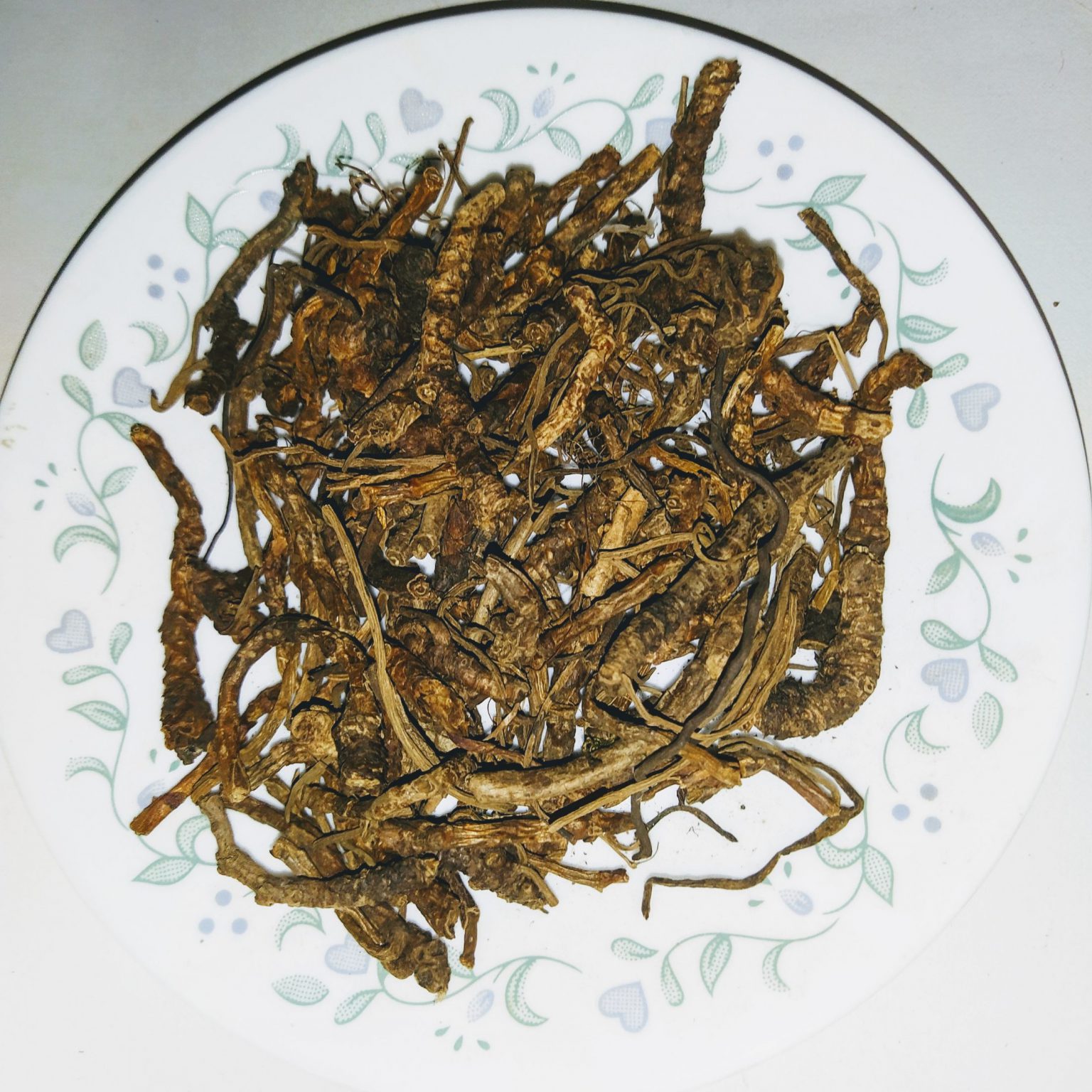 buy-costus-root-online-kushta-saussurea-lappa-trustherb