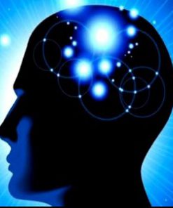 Brain and Memory Wellness