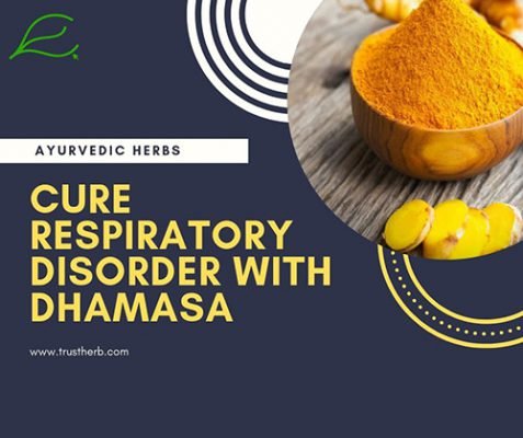 Dhamasa Booti Benefits