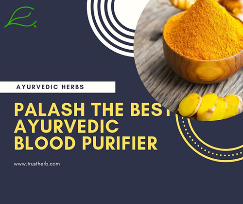Palash- Blood purifier