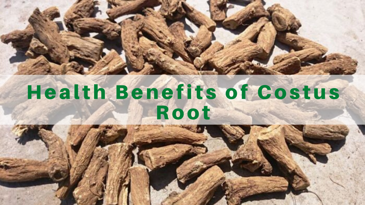 health benefits of costus root