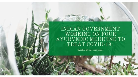 Indian government working on four ayurvedic medicine to treat COVID-19.
