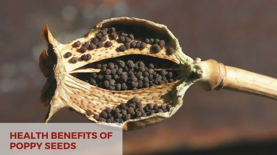 health benefits of poppy seeds