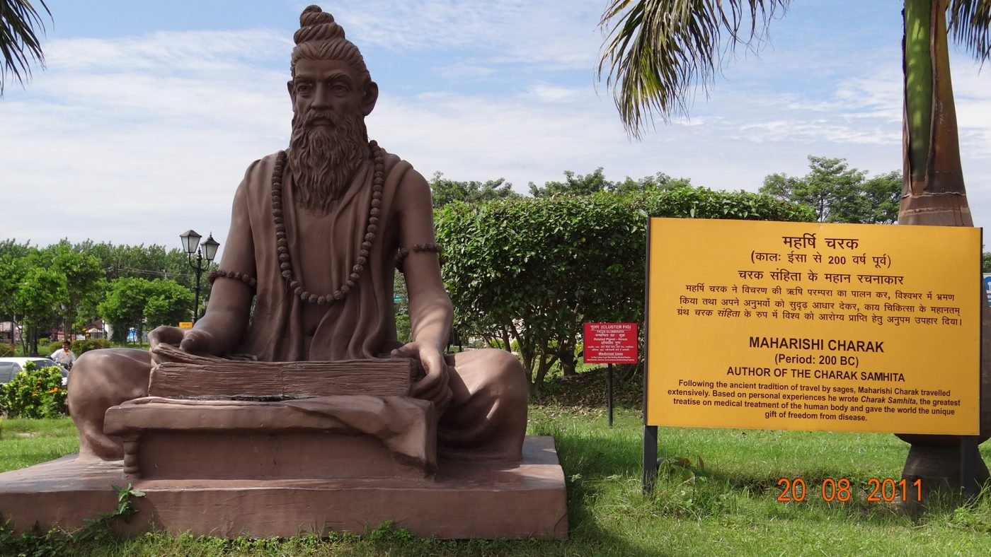 maharishi charaka father of ayurveda