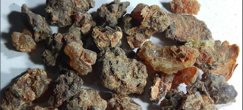 Hirabol Benefits After Pregnancy