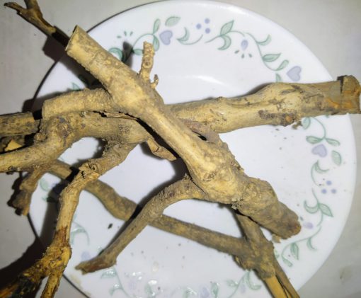 Health Benefits of Bajradanti Roots