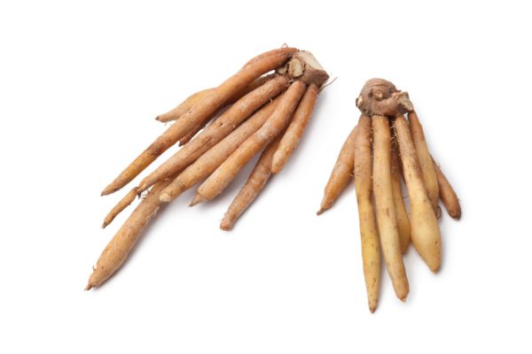 Health Benefits of Galangal Root