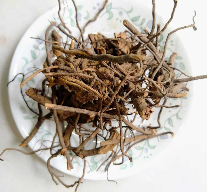 Health Benefits of Gravel Roots