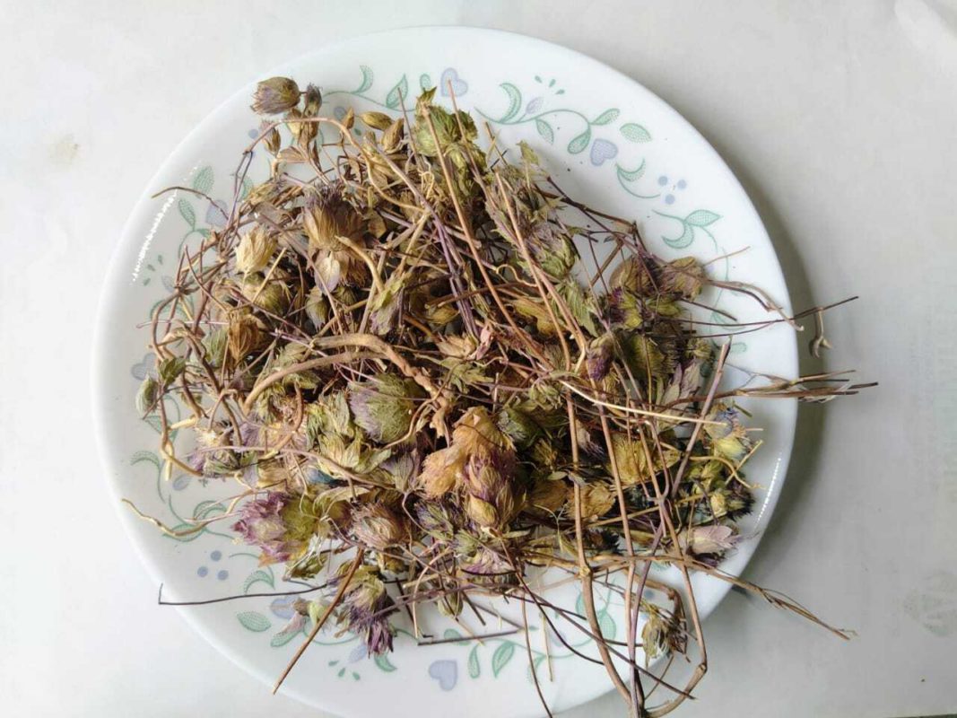 Indian Jadi Booti – Benefits of Jufa / Zufa Herbs