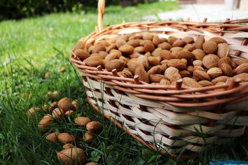 almond-oil-a-healthy-nut-oil-from-an-ancient-nut