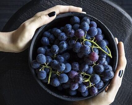 Black Grape Benefits