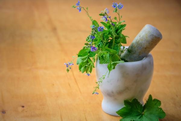 Ayurvedic Herbs for Women's Health