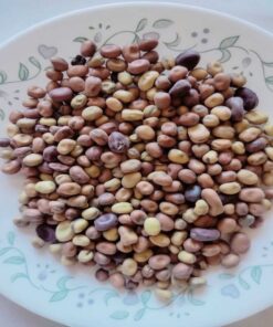 Spiritual Benefits of Mojo Beans
