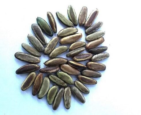 Health Benefits of Delonix Regia