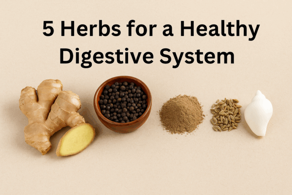5 Herbs for a Healthy Digestive System
