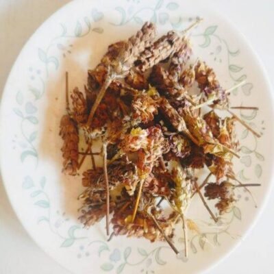 Selfheal Flower Benefits