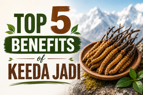 Benefits of Keeda Jadi