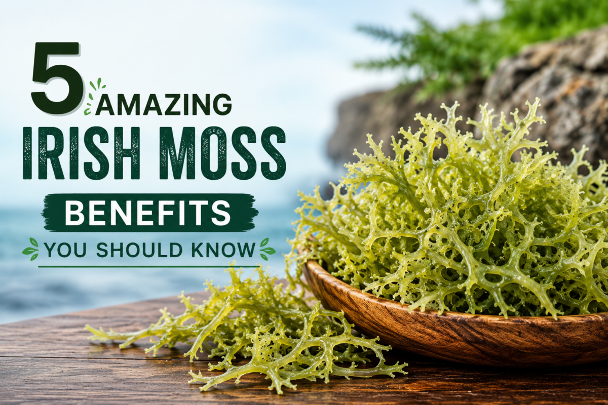 Irish Moss Benefits Y