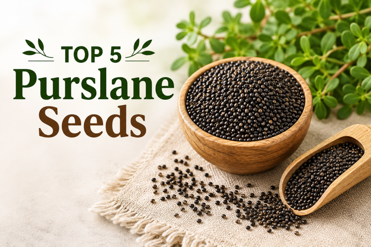 Purslane Seeds Benefits