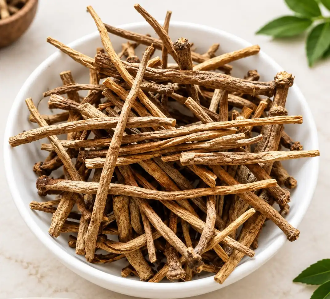 Akarkara Irani / Pellitory Root / Akarkara / Irani Akarkara / Aqar Qarha / Anacyclus pyrethrum